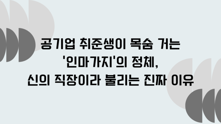 공기업 취준생이 목숨 거는 '인마가지'의 정체, 신의 직장이라 불리는 진짜 이유