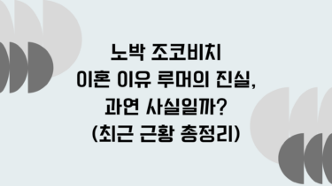 노박 조코비치 이혼 이유 루머의 진실, 과연 사실일까? (최근 근황 총정리)